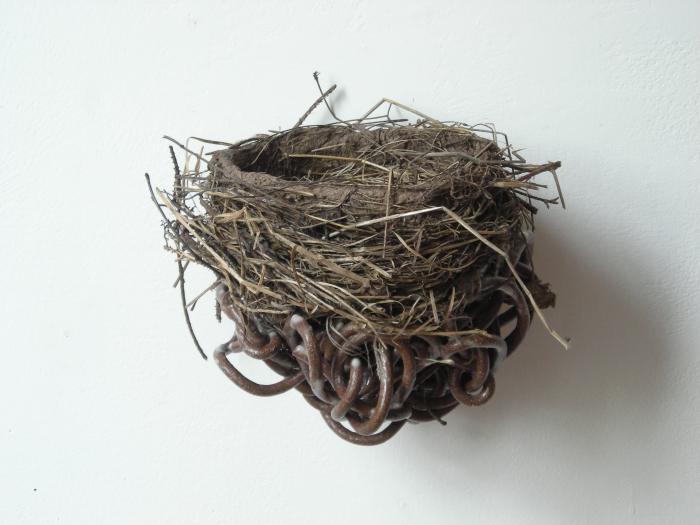 Nest